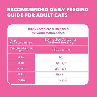 PROACTIVE HEALTH Adult Sensitive Digestion & Skin, Dry Cat Food with Turkey Cat Kibble, 13 Lb. Bag